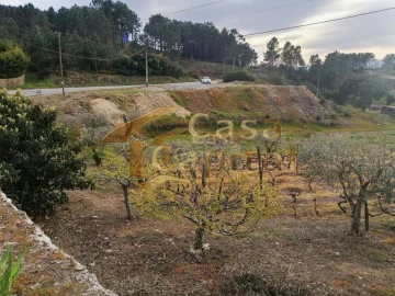 Terreno para Venda em Folhadela