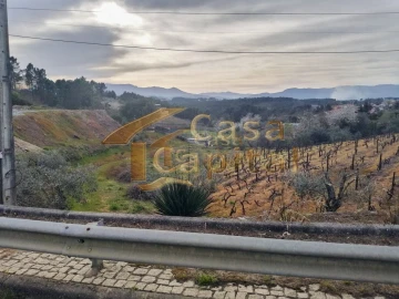 Terreno para Venda em Folhadela