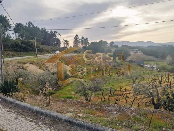 Terreno para Venda em Folhadela Foto 6