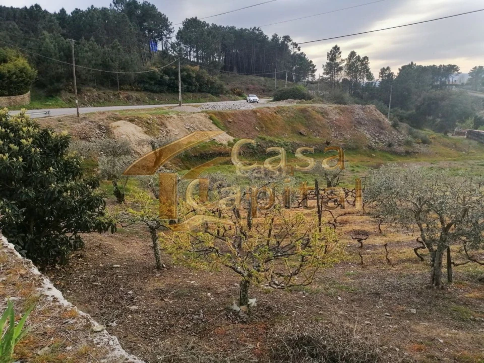 Terreno para Venda em Folhadela Foto 2