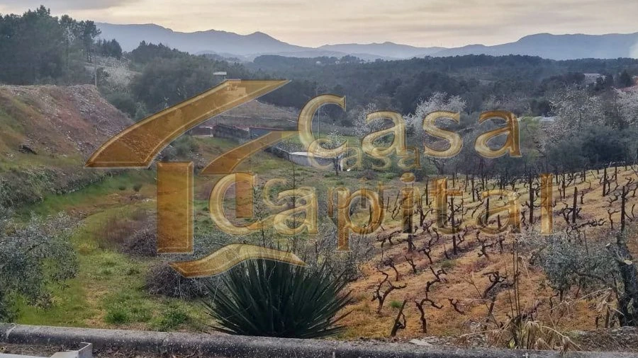 Terreno para Venda em Folhadela