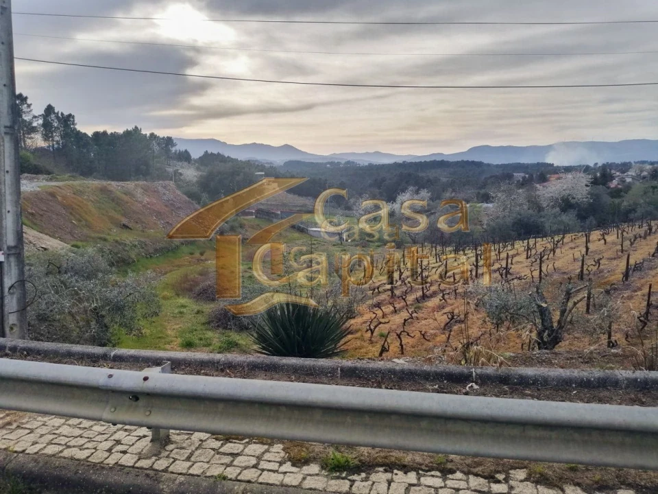 Terreno para Venda em Folhadela Foto 1