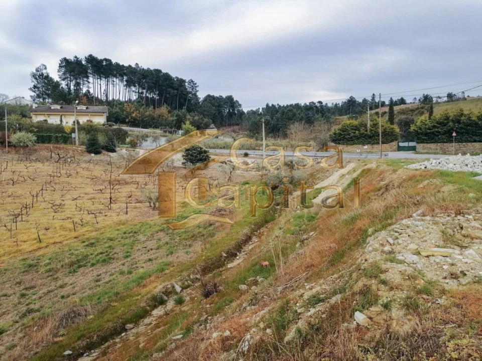 Terreno para Venda em Folhadela Foto 7