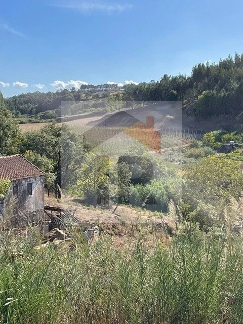 Quinta T3 para Venda em Evora de Alcobaça