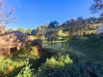 Quinta T3 para Venda em Evora de Alcobaça