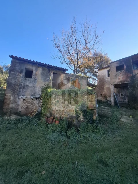 Quinta T3 para Venda em Evora de Alcobaça