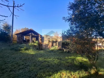 Quinta T3 para Venda em Evora de Alcobaça