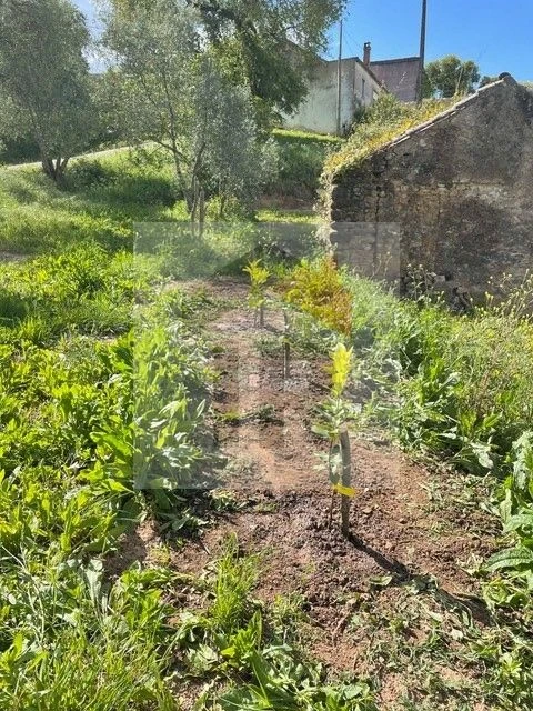 Quinta T3 para Venda em Evora de Alcobaça