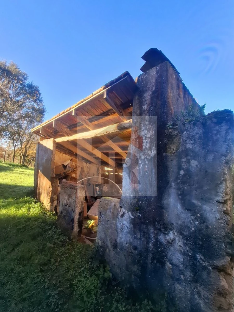 Quinta T3 para Venda em Evora de Alcobaça Foto 15