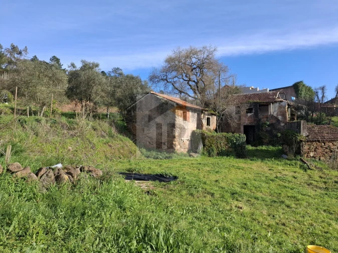 Quinta T3 para Venda em Evora de Alcobaça Foto 3