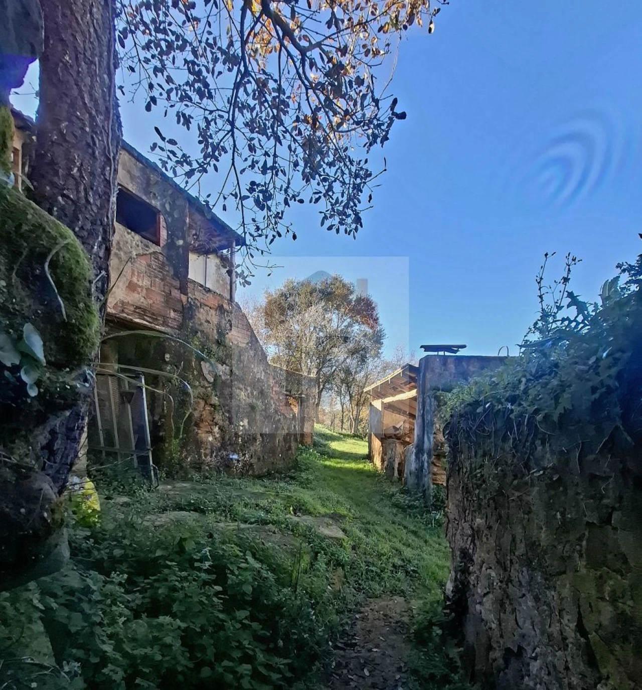 Quinta T3 para Venda em Evora de Alcobaça Foto 5