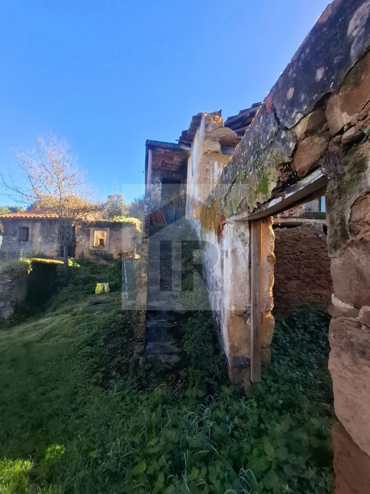 Quinta T3 para Venda em Evora de Alcobaça Foto 11