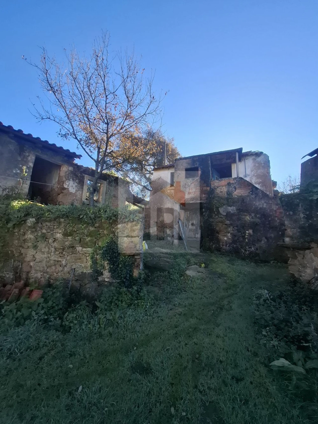 Quinta T3 para Venda em Evora de Alcobaça Foto 18