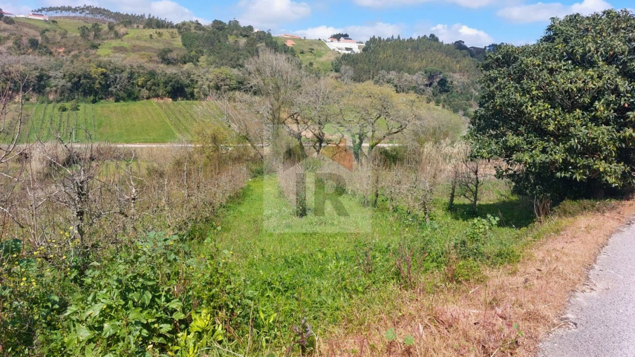 Terreno para Venda em Alvorninha Foto 2