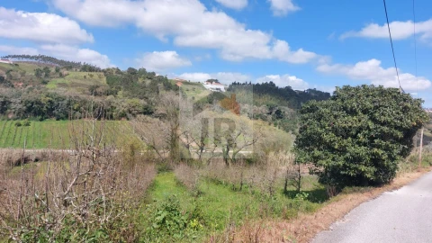 Terreno para Venda em Alvorninha