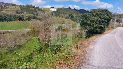 Terreno para Venda em Alvorninha