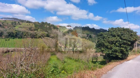 Terreno para Venda em Alvorninha