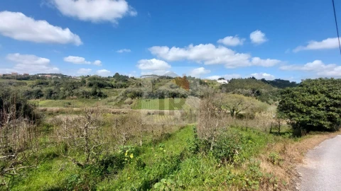 Terreno para Venda em Alvorninha