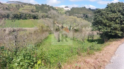 Terreno para Venda em Alvorninha