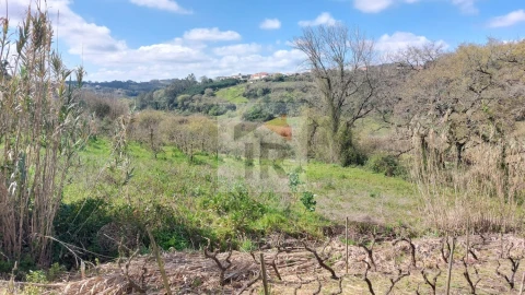 Terreno para Venda em Alvorninha