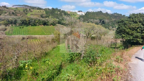 Terreno para Venda em Alvorninha
