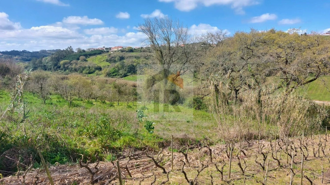 Terreno para Venda em Alvorninha Foto 4