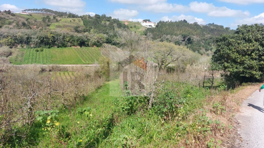 Terreno para Venda em Alvorninha Foto 7