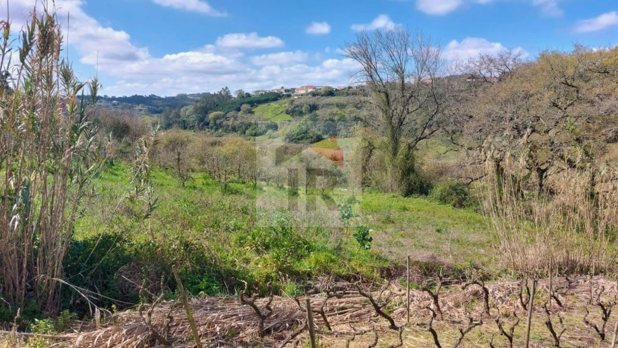 Terreno para Venda em Alvorninha Foto 5