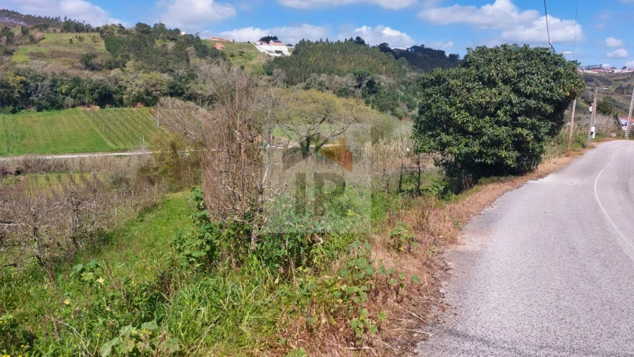 Terreno para Venda em Alvorninha Foto 8