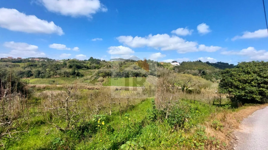 Terreno para Venda em Alvorninha