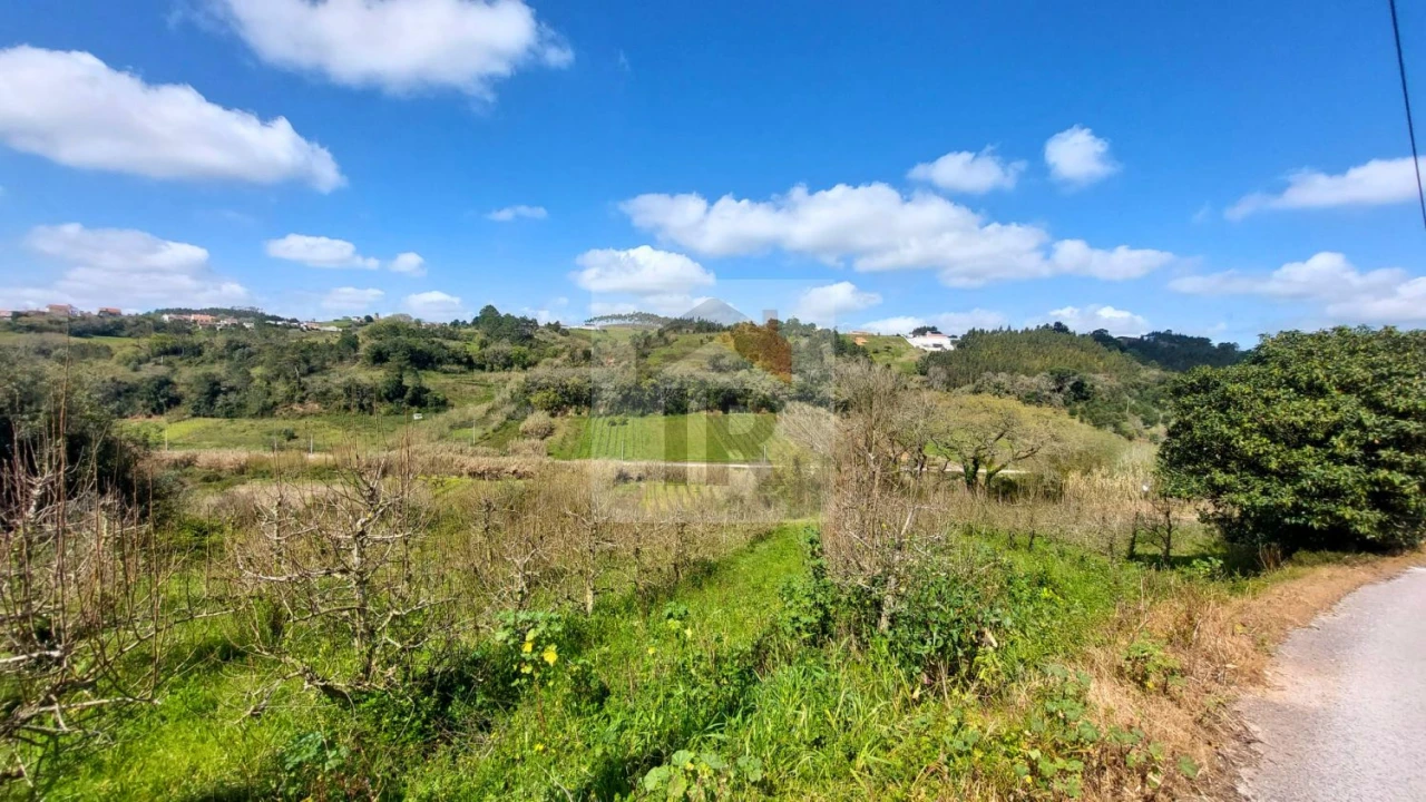 Terreno para Venda em Alvorninha Foto 1