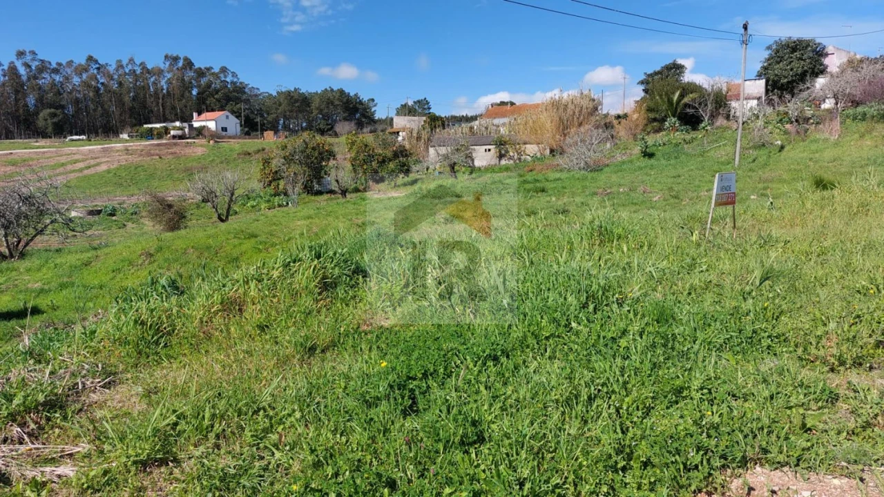 Terreno para Venda em Nossa Senhora do Pópulo, Coto e São Gregório Foto 1
