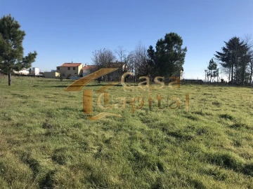 Terreno para Venda em São Martinho de Antas e Paradela de Guiães