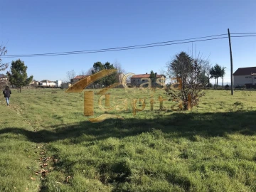 Terreno para Venda em São Martinho de Antas e Paradela de Guiães