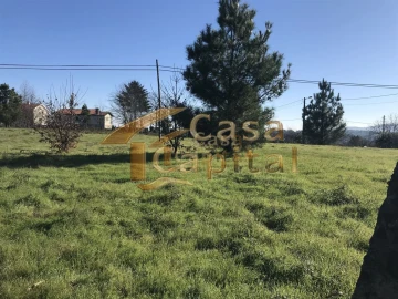 Terreno para Venda em São Martinho de Antas e Paradela de Guiães