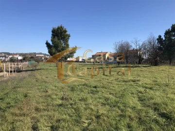 Terreno para Venda em São Martinho de Antas e Paradela de Guiães