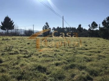 Terreno para Venda em São Martinho de Antas e Paradela de Guiães