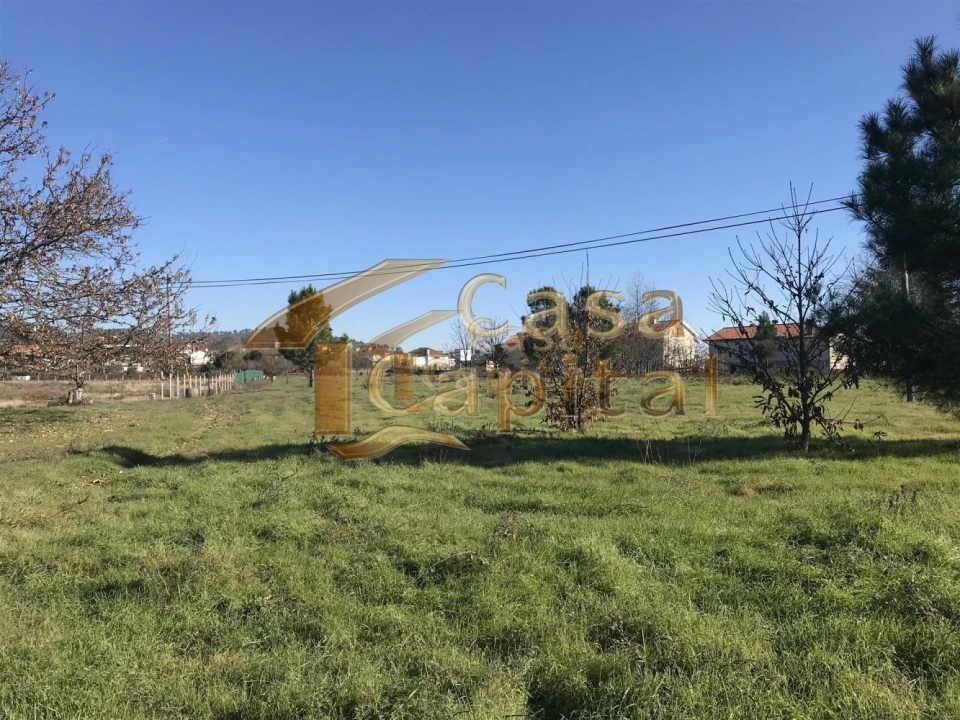 Terreno para Venda em São Martinho de Antas e Paradela de Guiães Foto 3