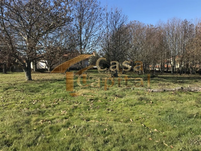 Terreno para Venda em São Martinho de Antas e Paradela de Guiães Foto 8