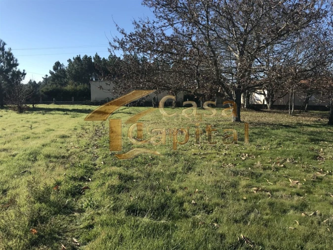 Terreno para Venda em São Martinho de Antas e Paradela de Guiães Foto 7