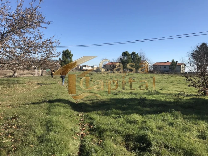 Terreno para Venda em São Martinho de Antas e Paradela de Guiães Foto 5
