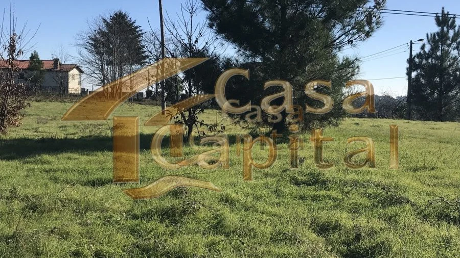 Terreno para Venda em São Martinho de Antas e Paradela de Guiães
