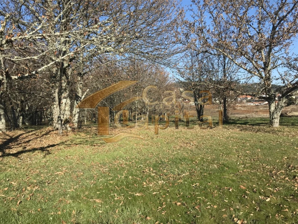 Terreno para Venda em São Martinho de Antas e Paradela de Guiães Foto 4
