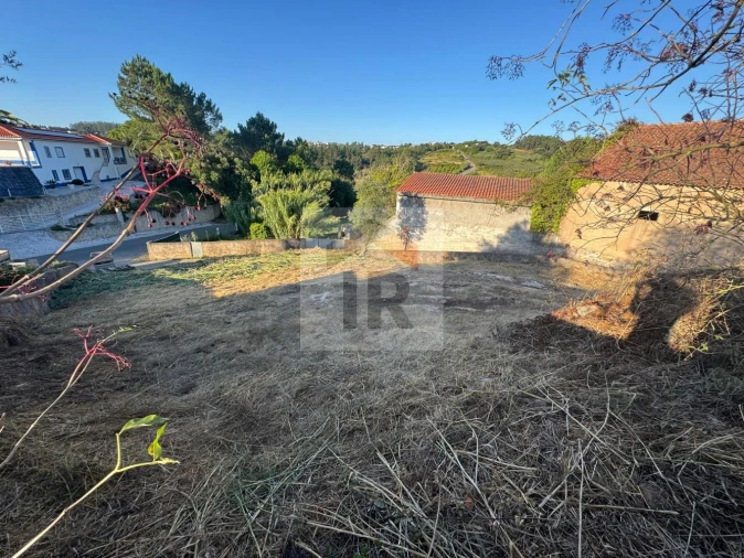 Terreno para Venda em Salir de Matos Foto 9