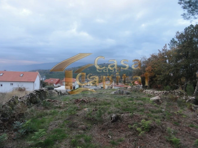 Terreno para Venda em Mouçós e Lamares Foto 7