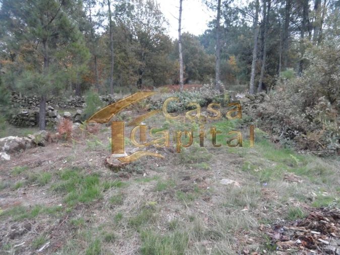Terreno para Venda em Mouçós e Lamares Foto 5