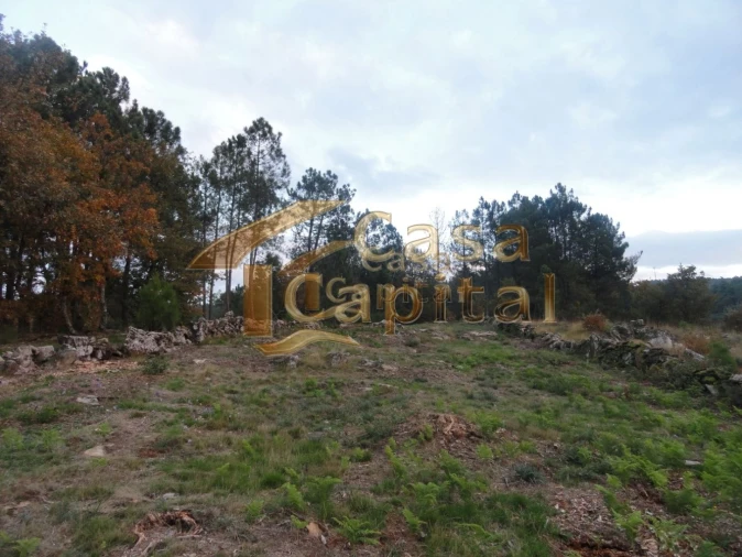 Terreno para Venda em Mouçós e Lamares Foto 3