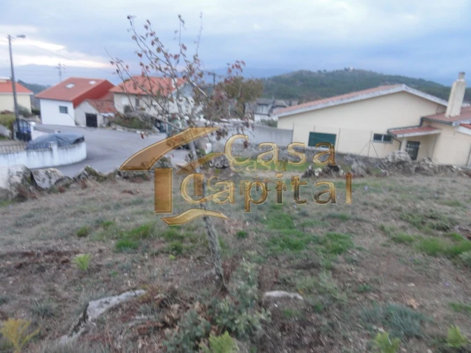 Terreno para Venda em Mouçós e Lamares Foto 10