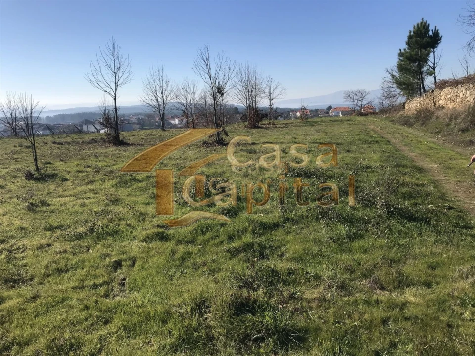 Terreno para Venda em São Martinho de Antas e Paradela de Guiães Foto 2