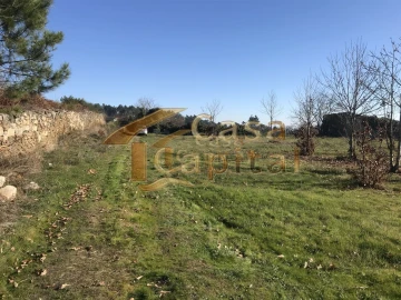 Terreno para Venda em São Martinho de Antas e Paradela de Guiães